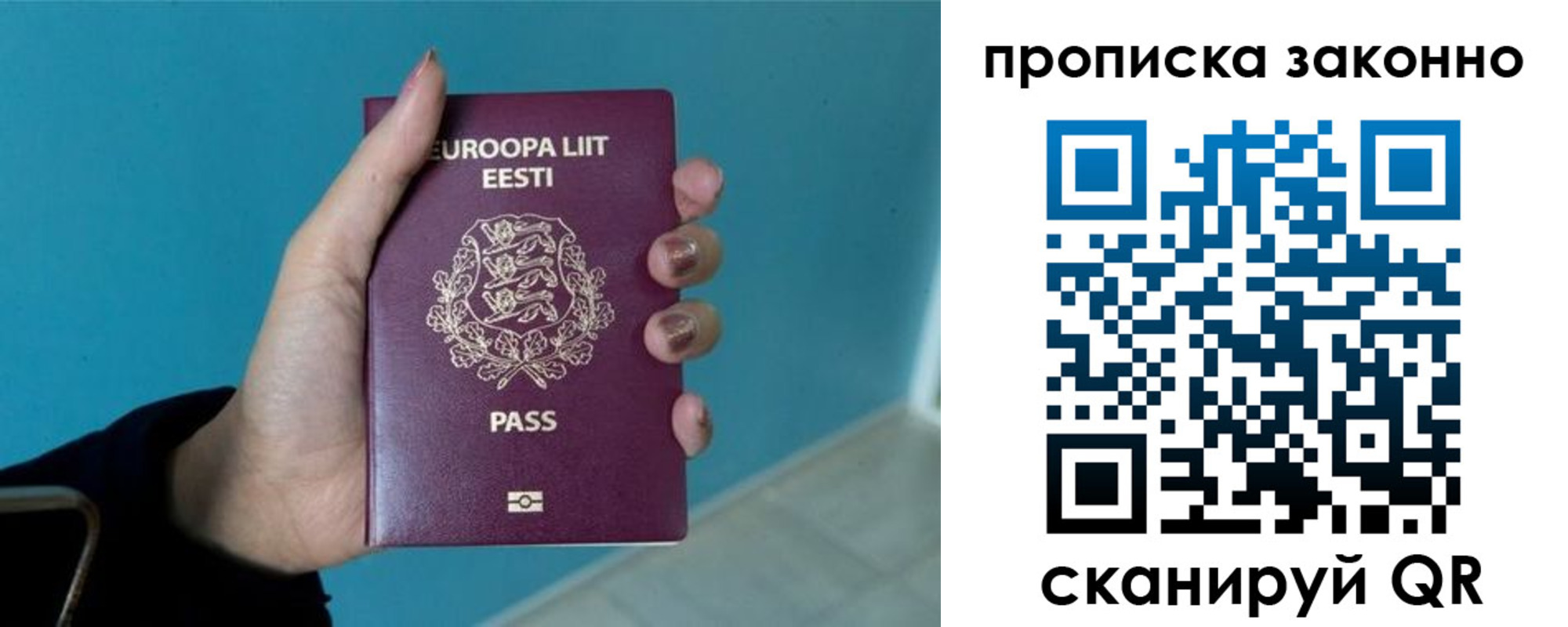 прописка гарантия в Кизеле